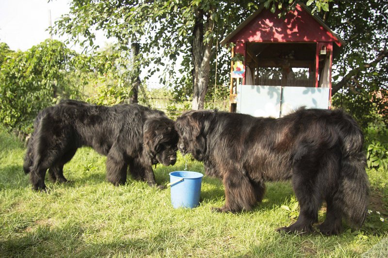 Фотография № 187422