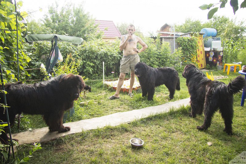 Фотография № 187427