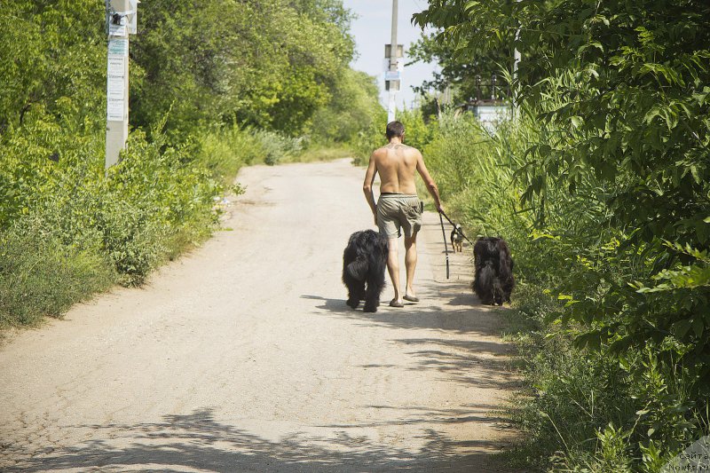 Фотография № 187432