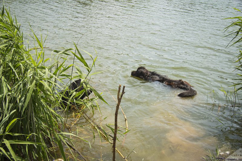 Фотография № 187433