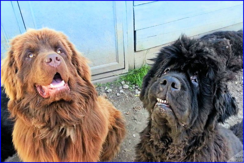 Фотография № 187439