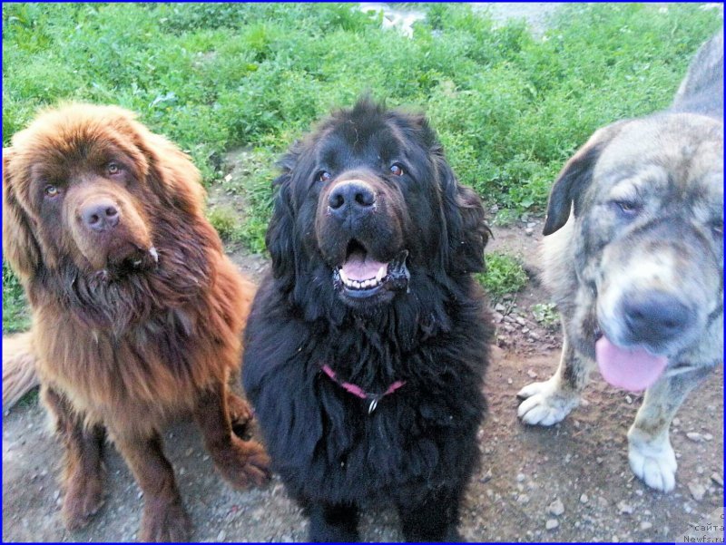 Фотография № 187440