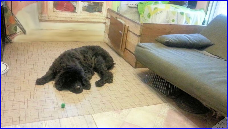 Фотография № 187442