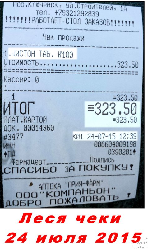 Фото: ньюфаундленд Валенсия Черная Жемчужина