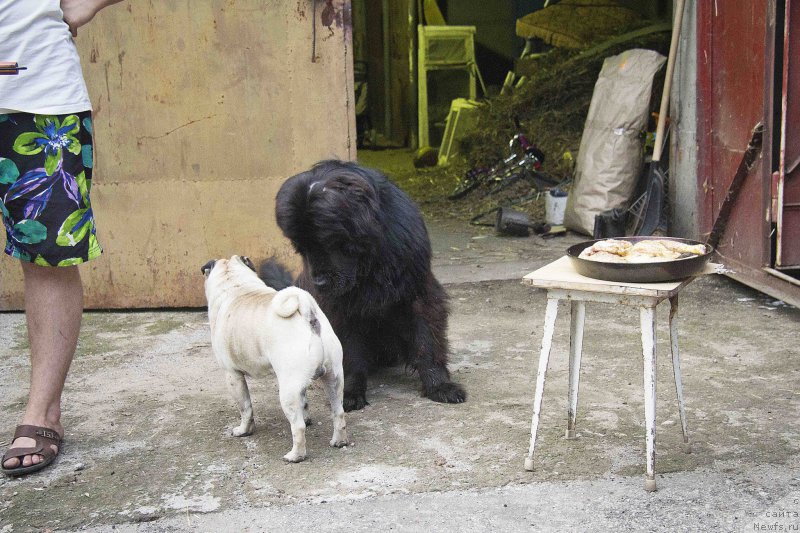 Фотография № 187452