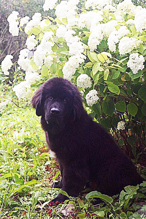 Фотография № 187453