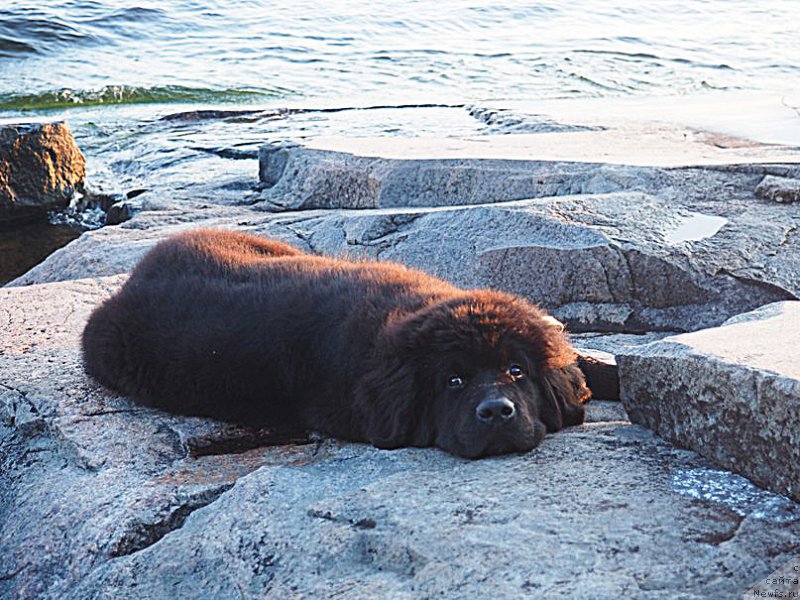 Фотография № 187454