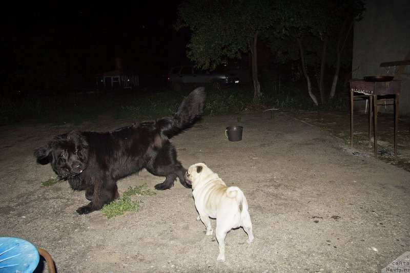 Фотография № 187457