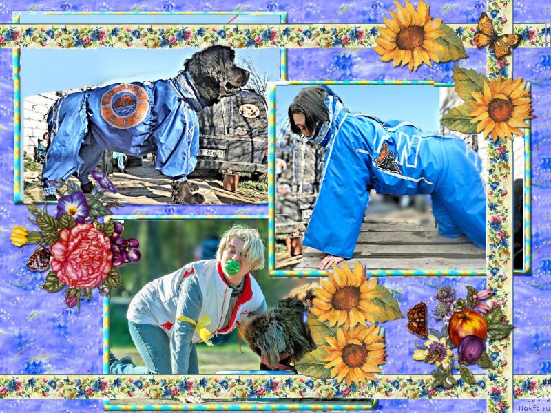 Фотография № 187482