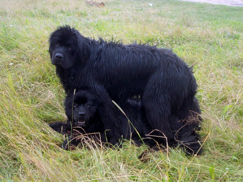 Фотография № 187485