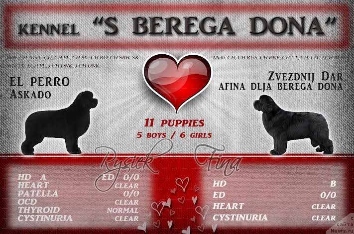 Фотография № 187505