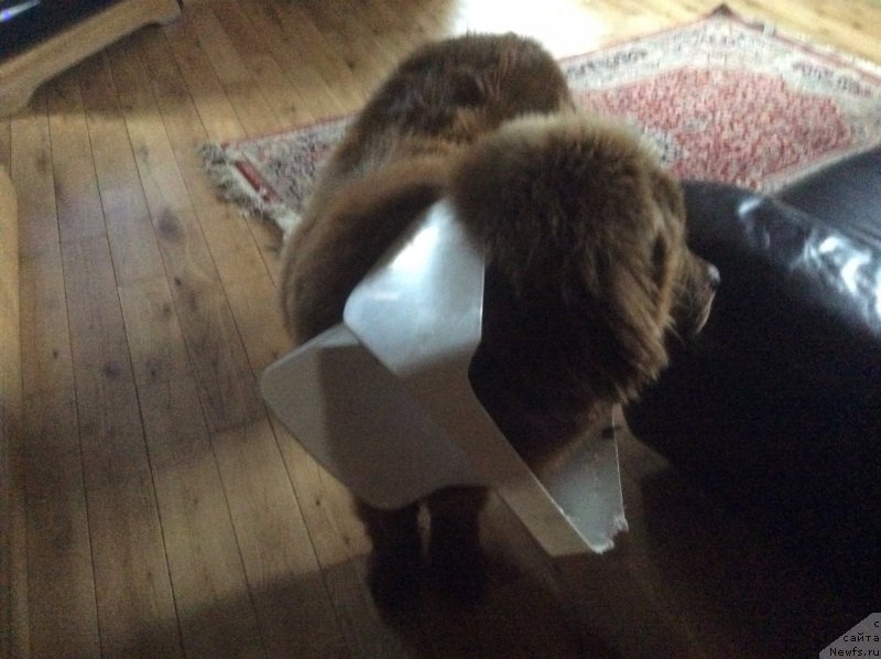 Фотография № 187511