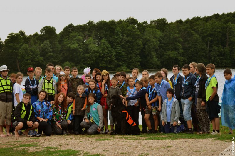 Фото: ньюфаундленд Кипер Соул Лайон Хэерт