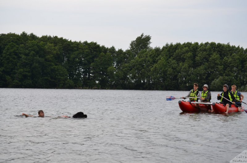 Фото: ньюфаундленд Кипер Соул Лайон Хэерт