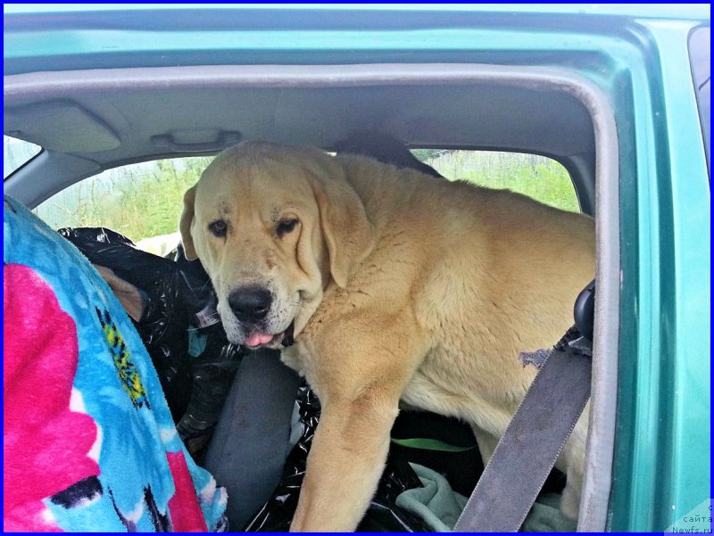 Фотография № 187529