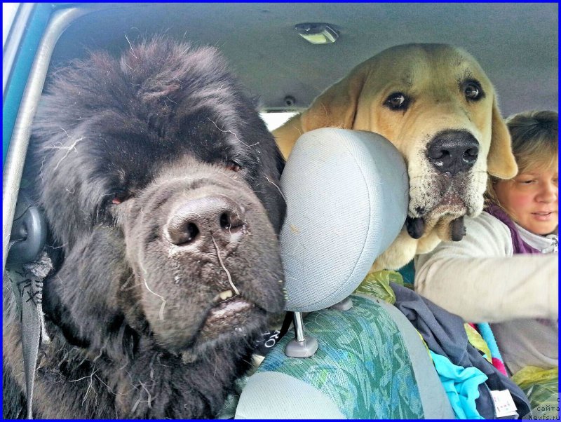 Фотография № 187531