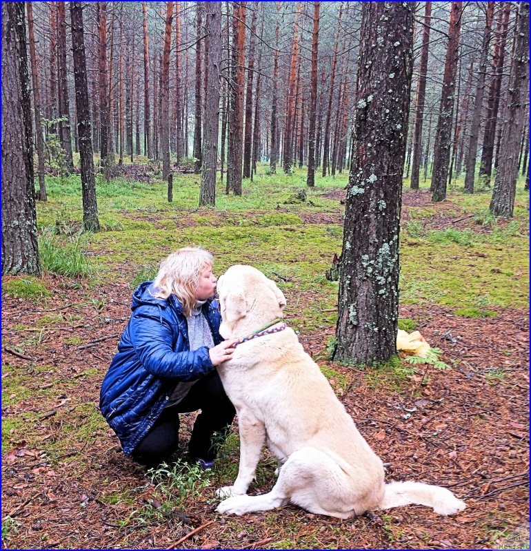 Фото: Елена Вотчал, Лена Зырина, ФРАНКО