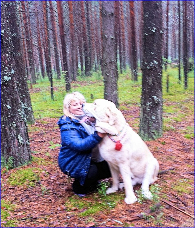 Фотография № 187536