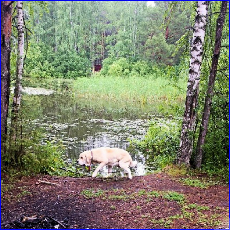 Фотография № 187538