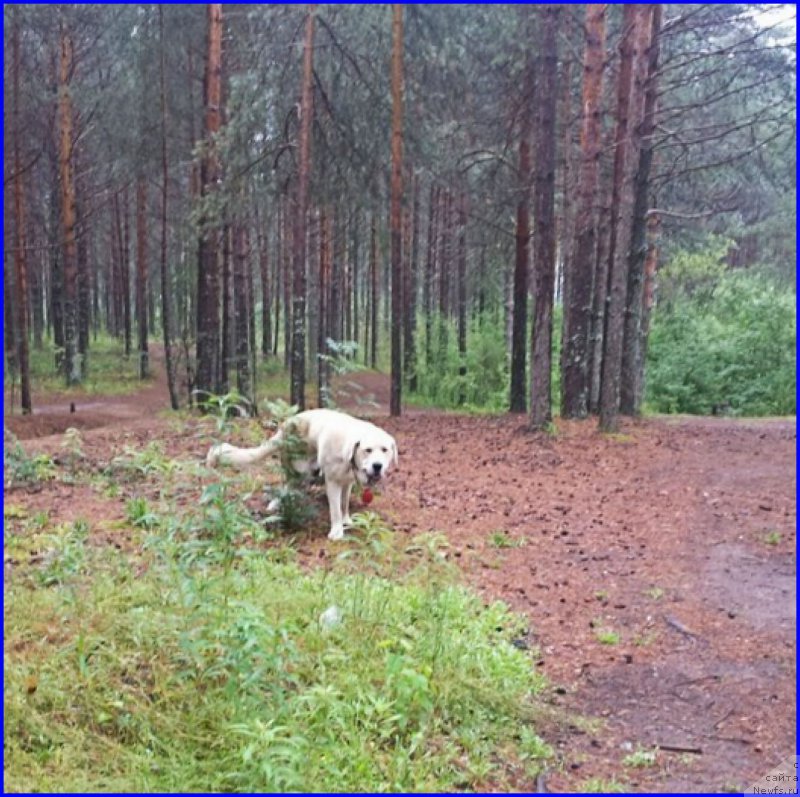 Фотография № 187539