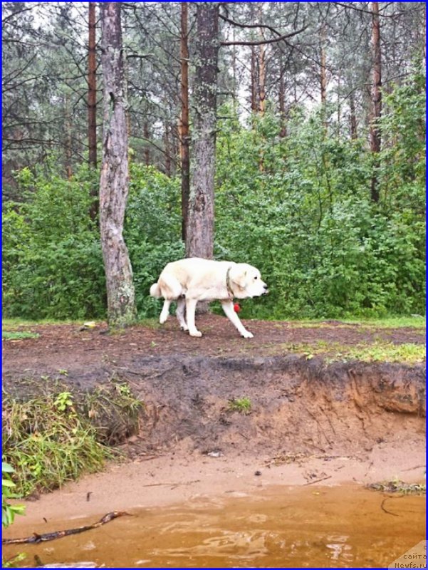 Фото: Лена Зырина, ФРАНКО