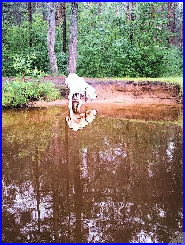 Фото: Лена Зырина, ФРАНКО