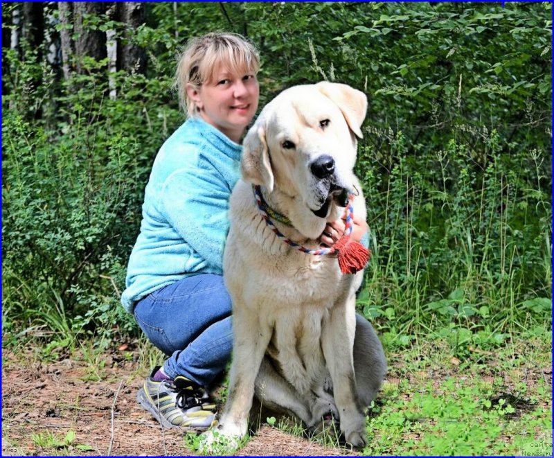 Фотография № 187542