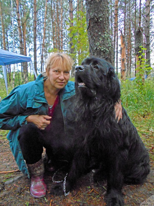 Фото: ньюфаундленд Ургун из Племени Кедра