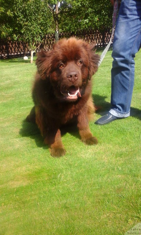 Фотография № 187569