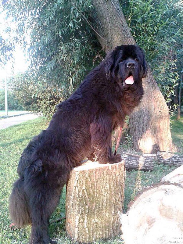 Фотография № 187607