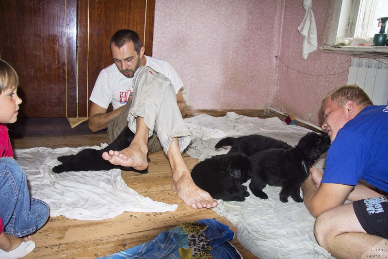 Фото: Андрей Волков, Александр Чернявский