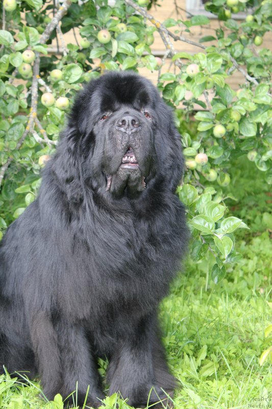 Фотография № 187631