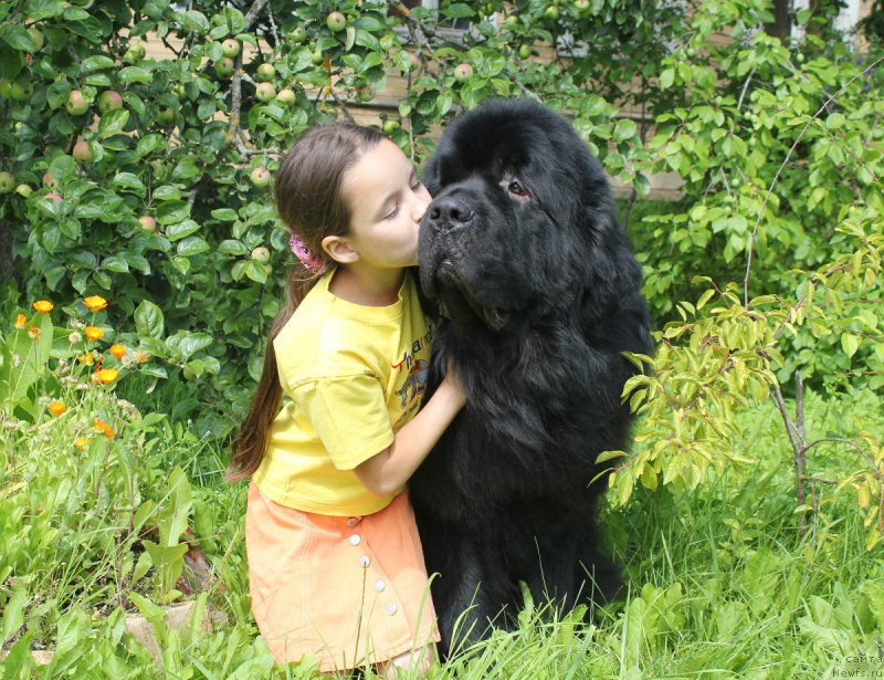 Фотография № 187633