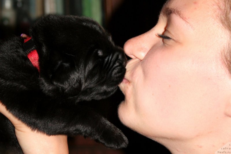 Фотография № 187645