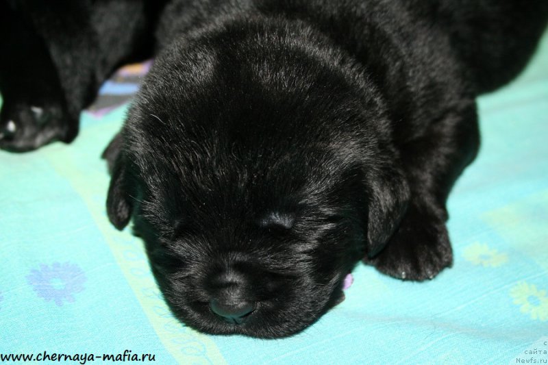 Фотография № 187649