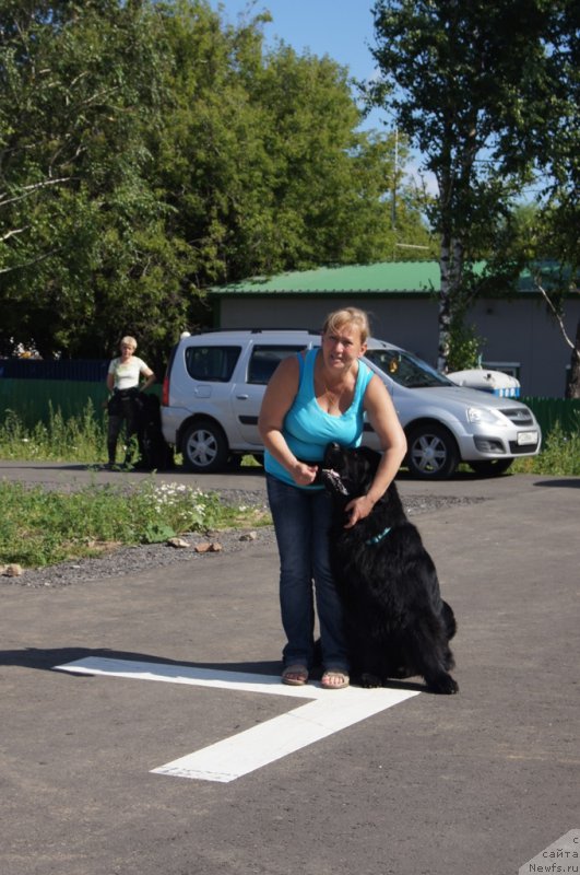 Фотография № 187651