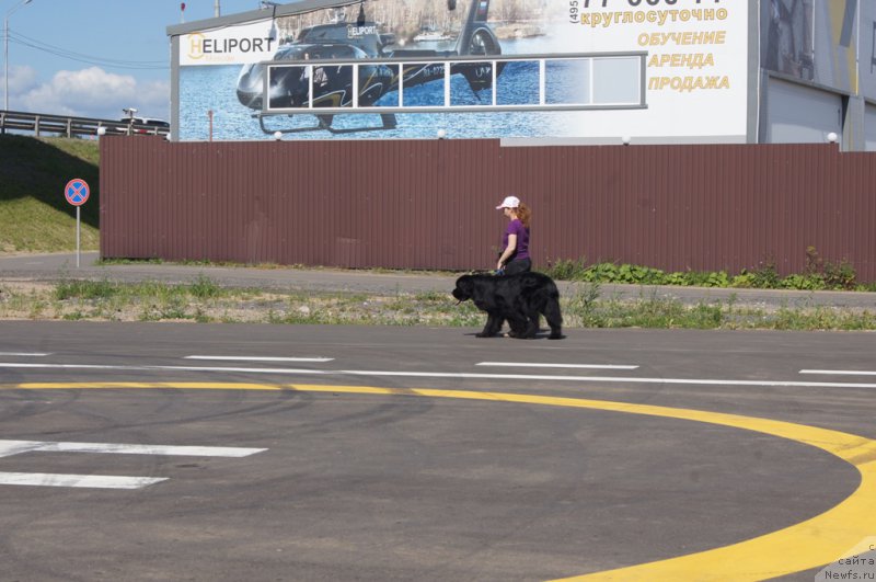 Фотография № 187653