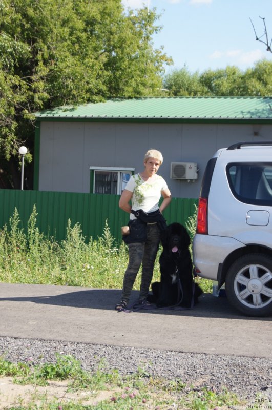 Фотография № 187654