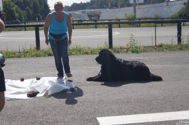 Фотография № 187656