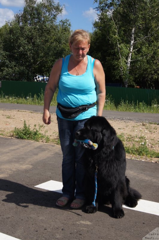 Фотография № 187658