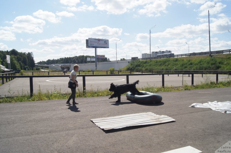 Фотография № 187662