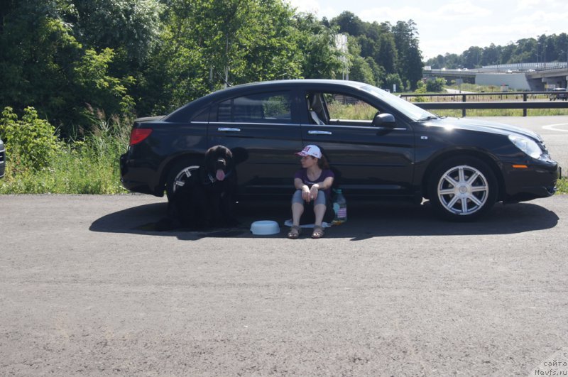 Фотография № 187663