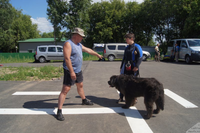 Фотография № 187667