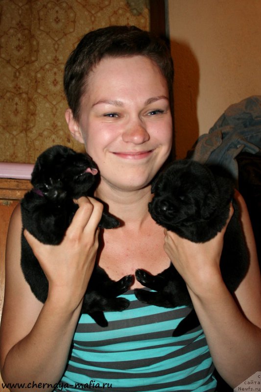 Фото: ньюфаундленд Черная Мафия А Кинд оф Магик (Chernaya Mafia А Kind of Magic), ньюфаундленд Черная Мафия Ангел Амонг Ус (Chernaya Mafia Аngel Among Us), Ольга Соболева