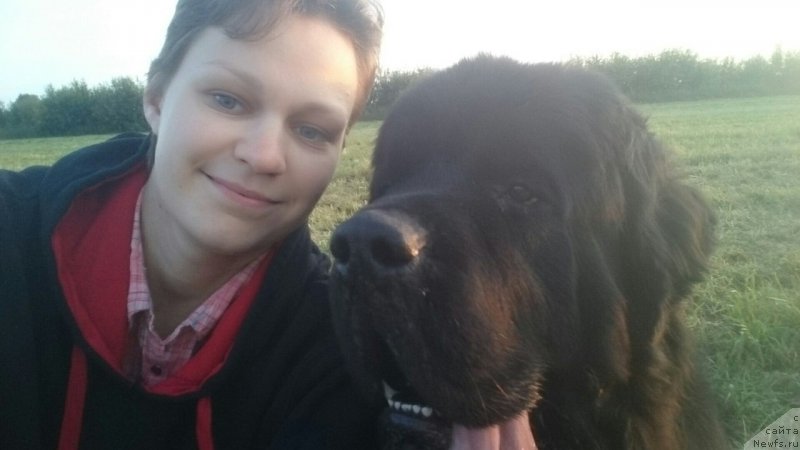 Фотография № 187682