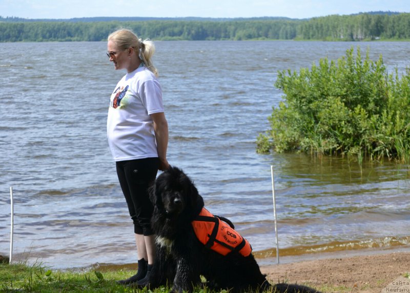 Фото: Елена Вотчал