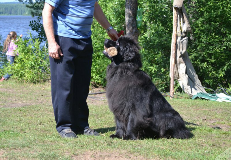 Фотография № 187689