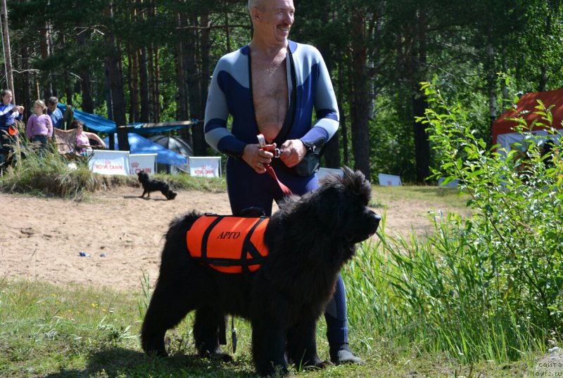 Фотография № 187693