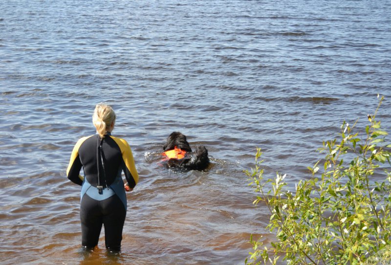 Фото: Лена Зырина