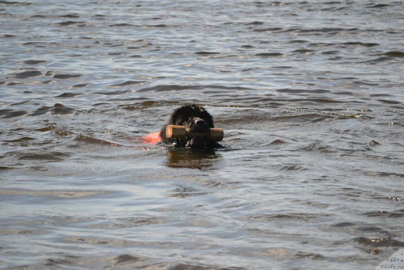 Фотография № 187699